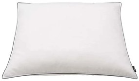 vidaXL Μαξιλάρια 2 τεμ. Λευκά 70 x 60 εκ. Βαριά με Πούπουλα/Φτερά