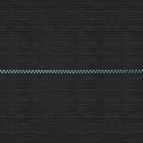 vidaXL Ύφασμα Εδαφοκάλυψης Μαύρο 2 x 100 μ. από Πολυπροπυλένιο