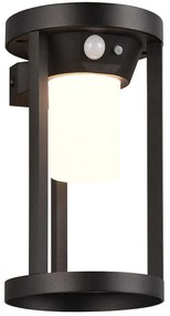 Φωτιστικό Τοίχου - Απλίκα Ηλιακό Με Αισθητήρα Carmo 241069132 Φ12x20cm Led 130lm 2W Black Trio Lighting