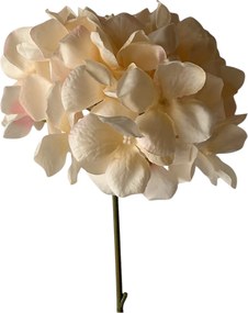 Τεχνητό Λουλούδι Εκρού 50cm 4215a/cr605
