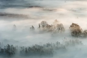 Φωτογραφία Winter fog, Marco Galimberti