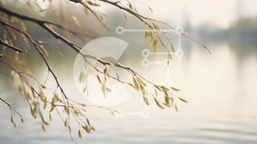 Intra Συλλεκτικό Ξύλινο Παζλ Plywood  4mm - Κλαδί δέντρου με φύλλα κοντά στο νερό Σε Ξύλινο Κουτί - Διαστάσεις: 10x10 cm – 25 κομμάτια