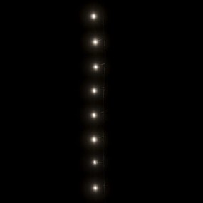 vidaXL Φωτάκια με 300 LED Ψυχρό Λευκό 30 μ. από PVC
