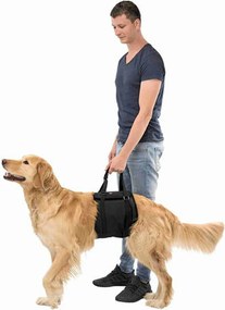 Περιπατητής σκύλων Trixie