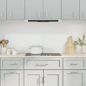 Πλάτες Κουζίνας 2 τεμ. Διαφανής 80 x 60 εκ. από Ψημένο Γυαλί