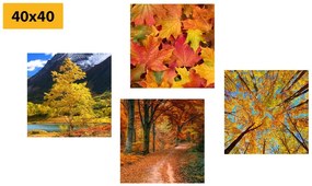Σετ εικόνων με φθινοπωρινή φύση σε όμορφα χρώματα - 4x 60x60