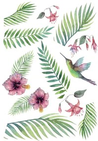 Διακοσμητικά αυτοκόλλητα τοίχου Tropical Hummingbird L