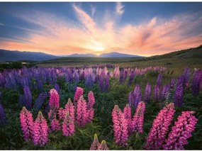 Παζλ Ravensburger Lupinen