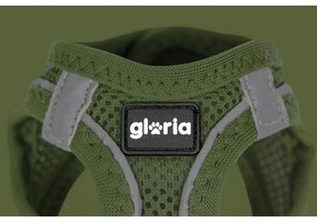 Λουρί Σκύλου Gloria 45-47 cm Πράσινο M 32,8-35,4 cm