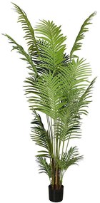 Τεχνητό Δέντρο Αρέκα 9630-6 100x100x260cm Green Supergreens Polyethylene