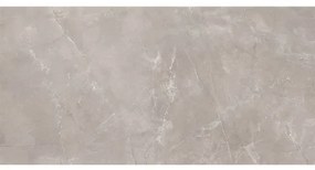 ΠΛΑΚΆΚΙΑ ΔΑΠΈΔΟΥ - TOIXOY PULPIS GRIS 60X120 cm -PULPIS GRIS