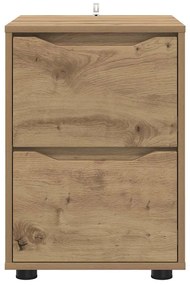 vidaXL Ντουλάπι αποθήκευσης Artisan Oak 40 x 48 x 57 εκ