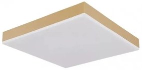 Πλαφονιέρα Φωτιστικό Οροφής LED 18W 30x30cm Doro Globo Lighting 41594D1M Ορείχαλκος