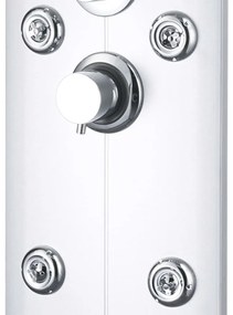 vidaXL Στήλη Ντους Υδρομασάζ Ασημί 25 x 43 x 120 εκ.