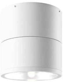 Σποτ Φωτιστικό Οροφής LED 12W Κινητό IP54 Spin Maytoni O310CL-L12W3K Λευκό