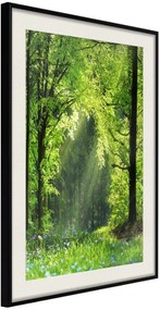 Αφίσα - Forest Path - 20x30 - Μαύρο - Με πασπαρτού