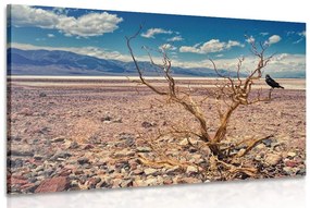 Εικόνα ξηρασίας τοπίου - 120x80