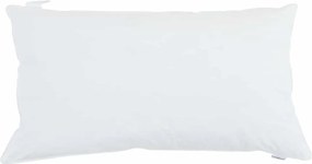 vidaXL Μαξιλάρι με μαξιλάρι 2 pcs Λευκό 40 x 80 cm Βαμβάκι