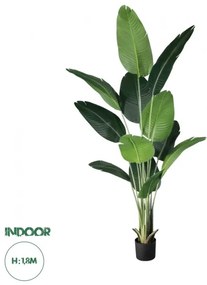 Artificial Garden STRELITZIA 20026 Τεχνητό Διακοσμητικό Φυτό Στρελίτσια - Πουλί του Παραδείσου Υ180cm  Globostar 20026 Πράσινο