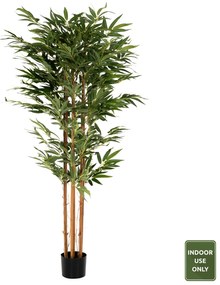 ΔΙΑΚΟΣΜΗΤΙΚΟ ΣΥΝΘΕΤΙΚΟ ΦΥΤΟ HM4004 BAMBOO ΣΕ ΓΛΑΣΤΡΑ 180Υεκ.