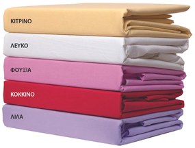 Ζεύγος Μαξιλαροθήκες 50x70 950 Λευκό