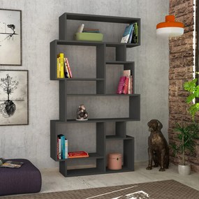 Βιβλιοθήκη Ανθρακί FEPRO 96x25.5x168.5