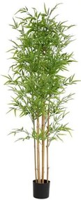 New plan BAMBOO  NP6321_180_22 ΥΨΟΣ 180cm Τεμαχιο