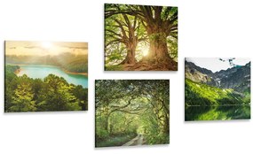 Σετ εικόνων με όμορφη πράσινη φύση - 4x 60x60