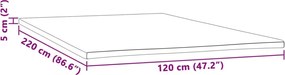 vidaXL Ανώστρωμα 120x220x5 εκ.