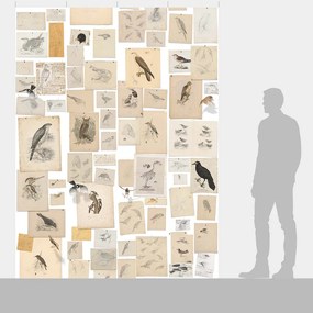 Ταπετσαρία DUTCH WALL DECOR NATURAL HISTORY NH250033-DWD