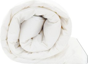 vidaXL Πάπλωμα FULDA 200 x 240 cm 4 Εποχές 310 GSM 90% Χήνας Λευκό