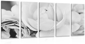 Τριαντάφυλλα με στίγματα 5 μερών σε μαύρο & άσπρο - 100x50