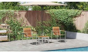 vidaXL Ξαπλώστρα 3 pcs Καφέ Στερεό Ξύλο Τίκ