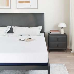 vidaXL Στρώματα Λευκό, Μπλε 200 x 200 cm