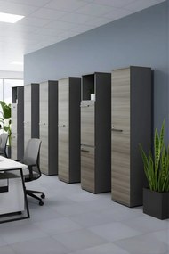 Ντουλάπα SlimSpace-Mauro-Kafe skouro