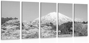 Εικόνα 5 τμημάτων hora Fuji σε ασπρόμαυρο - 100x50