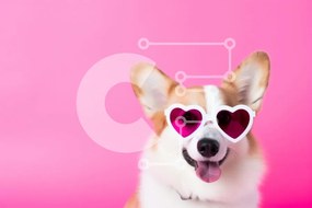 Σετ των 2 Intra Συλλεκτικό Ξύλινο Παζλ Plywood  4mm - Σκύλος Corgi με γυαλιά ηλίου σε σχήμα καρδιάς Σε Ξύλινο Κουτί - Διαστάσεις: 10x10 cm – 25 κομμάτια