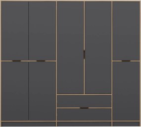 Πενταφυλλη Ντουλαπα Ανθρακι/Χρυσο ELINA 52x232x208