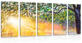 Εικόνα 5 μερών της ανατολής του ηλίου στο δάσος - 100x50