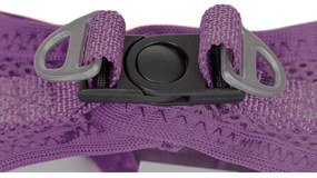 Λουρί Σκύλου Gloria 41,4-43 cm Μωβ S 29,4-32,6 cm