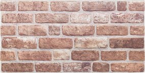 vidaXL Πάνελ τοίχου 10 pcs Καφέ 100 x 50 cm Αφρός EPS
