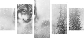 Εικόνα 5 μερών λύκος σε χιονισμένο τοπίο σε ασπρόμαυρο