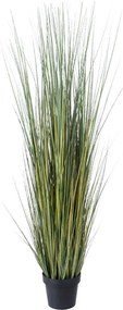 Τεχνητό Φυτό Pampas Grass 20072 Φ60x170cm Green-Beige GloboStar PVC