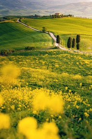 Φωτογραφία Tuscany, springtime in the afternoon. Path,, Francesco Riccardo Iacomino