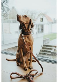 Λουρί Σκύλου Hunter Καφέ 200 cm