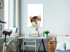 Πίνακας - Vexed Cat (1 Part) Vertical - 40x60