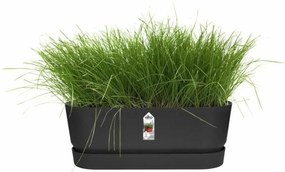 Κηπουρός Elho   Μαύρο 50 cm Πλαστική ύλη Οβάλ