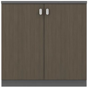 Ντουλάπι γραφείου επαγγελματικό χαμηλό Denith ανθρακί-καρυδί 80x40x80εκ 80x40x80 εκ.