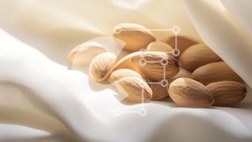 Intra Συλλεκτικό Ξύλινο Παζλ Plywood  4mm - Αμύγδαλα σε λευκό ύφασμα Σε Ξύλινο Κουτί - Διαστάσεις: 10x10 cm – 25 κομμάτια