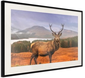 Αφίσα - Majestic Deer - 90x60 - Μαύρο - Με πασπαρτού